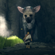 And everywhere the little boy went, Trico was sure to go.